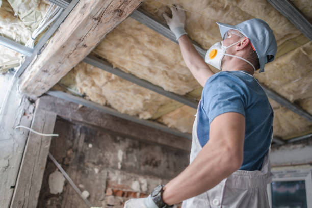 Best Insulation for Specific Applications in Bon Air, VA