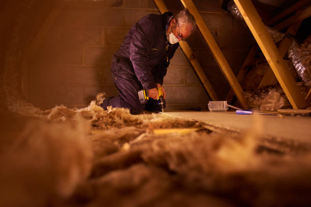Best Insulation Maintenance and Repair in Bon Air, VA